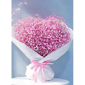 Fluiddragon_ChA[g5DUCNA[g_CAhr[YGLbgDIYEG|Lbg_ChhSʓ\t^Cv|Lbg(241)