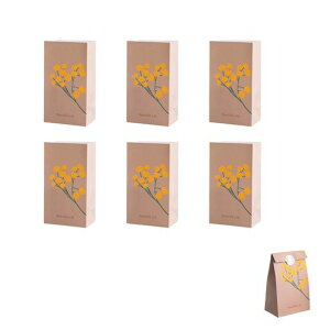 Coolloodav[g܎܊p܃MtgobO6胉bsOܑ蕨ܕMtg܉p̎ܒãv[g܃o^CƖpja蕨