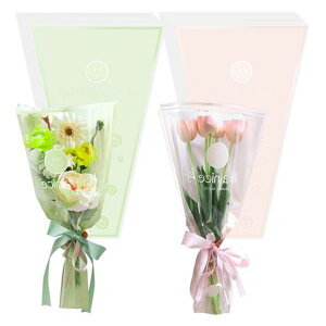 Ԏt[bsOobO100Zbgԑ܎OpOPPܐ؂ԕhjɂ|DIYԉjo^Cf[̓NX}X蕨pi(sN+CgO[)