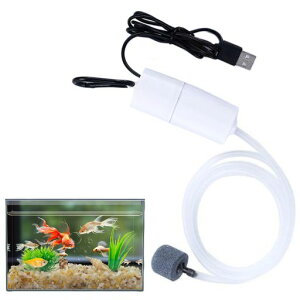 BLOOPICGA|vUSBق̎_f|vyʐÉ|[^u֗Ȏ_f^|vAفAނpGA[|v(zCg)