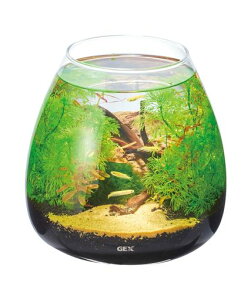 �W�F�b�N�XGEXAQUARIUM�O���X�A�N�A�e�B�A�[-N�A�N�A���E�����^���������e�����E��