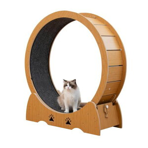 PETTOMؐLbgzC[lRp[i[ؐjOzC[LbgEH[N]LzC[^p