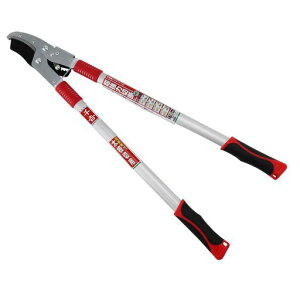 g(Senkichi)`Fbg}780mm50mm܂SGFL-3