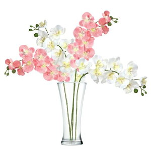 SKTMHӒ4{Zbgԃu[P̑Ԗ{萅sv͂ȂA[gt[CeAEFfBOa̓X܃ItBXz[fR[VJXjԁc