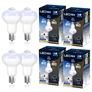 lZT[tledde17F60`610lmÃZT[t^d_Yh~ȃGlʏKi֘LgC4