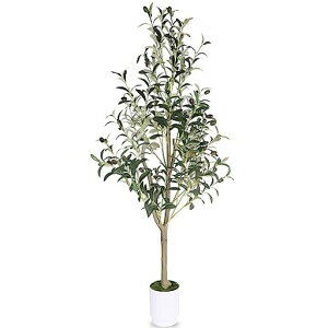 lHϗtAI[u̖؃tFCNO[120cmԊϗtG}CCeA萢b炸svItBXz[fR[V