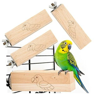 TARATICRؐނᒹP[WplWŒ莮\tgEbhݖ؃XgXybgpi^pi10x3x2.5cm4{Zbg