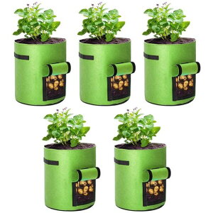 lanzoubsDz|bgv^[5Zbg5/7/12KWKCv^[g}gv^[A͔|obOAܕsDzv^[tFg؍͔|obOWKCg}gjWK[c