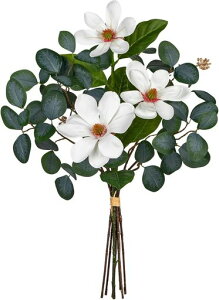 VillaComoԉԑA[gt[u[PtFCNO[CeAO[[JNYԐlHϗtAMtg̓ʉ6{(N&[J)