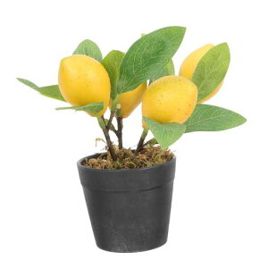 TOPPERFUNԃ~̓fXNgbvCeAؖڒ|bg(v)18x7x7cm250g{̔FEsvp[eB[XܑrOItBX̍F