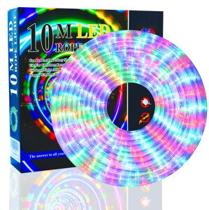 SUCCULLED[vCg`[uCgdt10m300hC~l[VƖONX}XCg2c^Cv