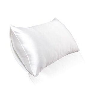 VNJo[VNJo[̃_[WhA┯ɗD炩ŏ_炩AKJo[⊴XYB