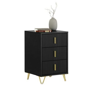 SoBuyxbhTChe[uiCge[ukTChe[u40*s40*63cmؐotdbxbh\t@TChxbh[(FBT115-L-SCH/ubN)