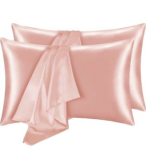 Jo[ґ򗼖ʃTeׂׂ܂Jo[s[P[X􂦂QȌyRۖhL┯qɗDMtg蕨lGKTTv[gœKyTNc