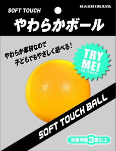 JV}(KASHIMAYA)炩{[/a9cm/CG[