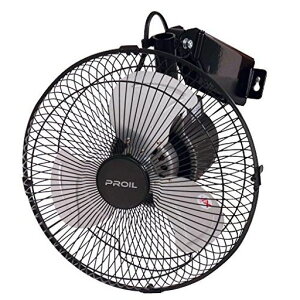 HƗp@Ǌ|^25cmA~HU著Eh[u3iKLb`ΉvCFHA252ubN