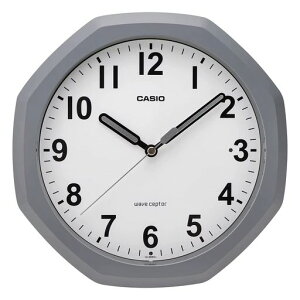CASIO(JVI)|vǊ|vdgvO[AiO_ԕbj~u|pIQ-888NJ-8JF