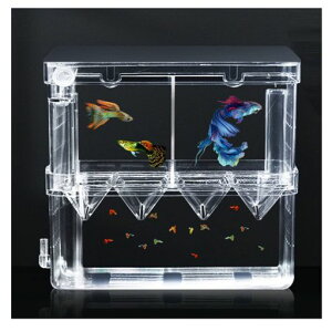 YurikaɐBu{bNX2i2ӏYP[XGr_JzY@\Obs[tuی쐅كANZT[tȒP_fڑtL