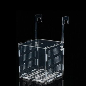 VitaluxɐBu{bNX10*10*10@\uP[XtɐBu{bNXzY̊utȒPكANZT[AN