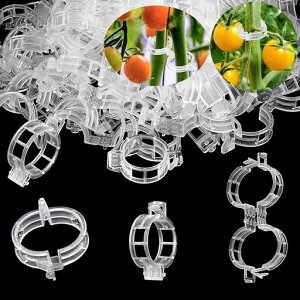 WopanxyeUNbv|NbvohAT|[gNbvxNbv̐AT|[gOUƍėp\T|[gږ؂鐫A̗UAZbgpT|[gc