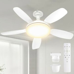 SUKITENV[Ot@Cgt@tƖy^E啗ʁEt]zV@44W120W5000lmODC[^[E2681cm[/^C}[@\Rt8-10ȃGldFFȒPc