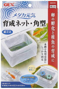 WFbNXGEX_JC琬lbgp^upP[XE܂ꂽĂ̒tp