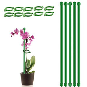 Ax5ZbgϗtA30cm|ԎxӒϗtxAT|[g_Ɨp|piK[fjOԎx(10̗ߋtĂ܂)