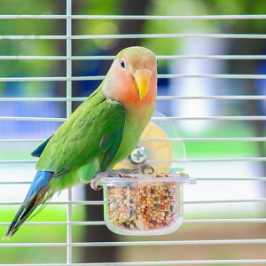 BotocooaꏬpNA[Ho[hH퓧AÑJbvybgp{EtȒP̉a꒹꒹pa