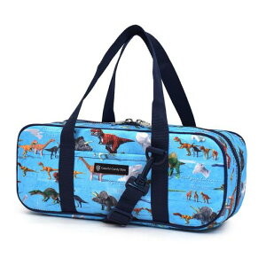 COLORFULCANDYSTYLEށEG̋Zbg(TNNpX5ml)Eyʃ^Cv(wʃbV^Cv)[hbVރobOV_[xgtʊG̋j̎qNMc