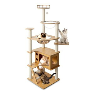 CozyMeowLbg^[ؐXFDu𑝂ރLbgnEX߂ƂL^Lp܂ƂLbgEH[NlCL^[ꂩ킢˂LbgXebc