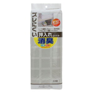 CY(Waizu)YɂLV[gO[W{CRۏhJr477225