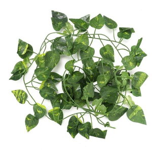 ঒ސlHWOlHybgplHAvX`bNSŃP[W蕵͋CgJQK`E঒ޗpi(#1)