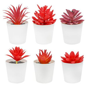 BacucineAtFCN6_ZbglHAAlߍ킹tFCNO[~jtT{etFCNϗtAԂ㏬^uCeAv[g(bh)