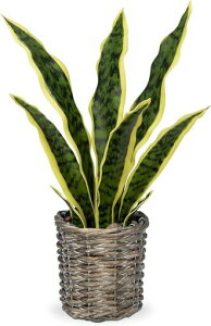 VillaComotFCNO[CeAO[TXxAlHϗtAԑGAvcVzjJXjVNNX}XItBXXエ(40CM#oXPbg)