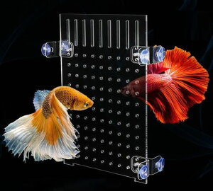 siawadekyANd؂Zp[^20*30cmSzՕtMыt঒ޕuӏ܋̍{BpANZT[