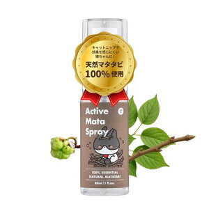 JAYUPETANeBu}^^rXv[-Ly܂鋭͂ŐVNȃI[KjbN}^^rꂽGbZVLbhXv[XgX&syÂȂc