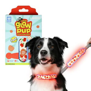 LaRoo�����֌��U�����C�gUSB�[�d����Ԃ̈ړ��΍􎋔F��3�̔������[�h(�K�������A��ցA���[�h�A���p�n�[�l�X)�y��22g�����^�E���^���p�y�b�g�p�i(�����S)