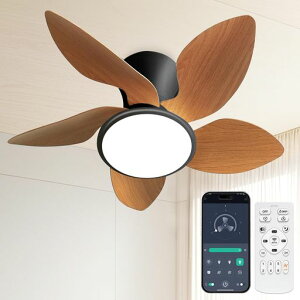 V[Ot@CgVƖ5H55W4500lm8~10KiF//g6Kiʒt]^C}[@\[@\É铔[hX}[gR/|fCc