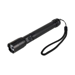 �G���p(ELPA)LED�����d��350���[�������P�x�������邢���d�r���d�r�c�ʕ\���@�\�h��IPX4�A���~���C�g���͖h�ЍЊQ��d�A�E�g�h�A�L�����v�o�R�ނ�U����ԍ�ƃV���o�[�n���h�X�g���b�v�c