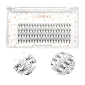 LASHIDOL}cGNZtp܂i`NX^[܂܂ъȒPlC9~12mm(_}cGN10{CJ[)