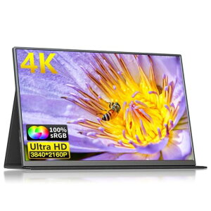 ポータブルモニター、17.3インチ4KFHD3840x2160P60HzOLEDタッチスクリーンラップトップディスプレイエクステンダー、USBC3.1HDMIマイクロUSB付き外部スクリーンラップトップPC電話スイッチ用