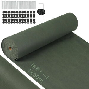 yǔŁzhV[gV[g1mx50mڂV[gϋvxUsY50{ƍ50tϗpN5NGh~Hp|plHŉV[gUVόܔz_ƒʘHȂǎGc