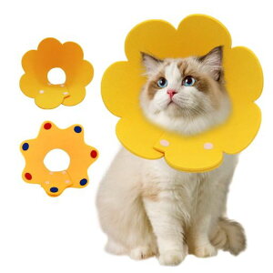 GUxXJ[LJ[\yʖh_炩{^p㕞ւrߖh~畆aDqL^^PAE֗2Zbg