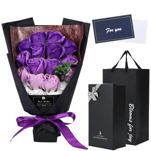 v~A\[vt[ԑ蕨t[MtgoNX}XLOaʌjWALO(p[v)