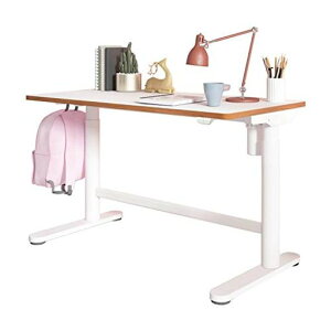 FLEXISPOT׋wKd~fXNgȒP߃ItBXfXNPCfXNVvfXN80x60cm()