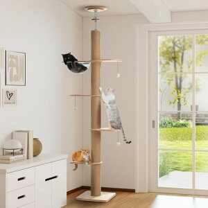 PAWZRoadLbg^[˂ؐSʖR܌a10.5cmɑX^LpL^[ؖڒĖؓo^[ꑽNA{EFDt~߃}bgo₷c