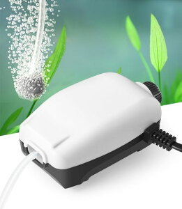 FEDOUR2WfoGA|vA߃mut͎̋_f|vA100Lȉ̐ɐÉɃGA[VłAANZT[t