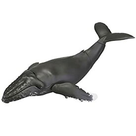 【中古】ソフビトイボックス013 クジラ ザトウクジラ ノンスケール ソフトビニール製 塗装済み 可動フィギュア