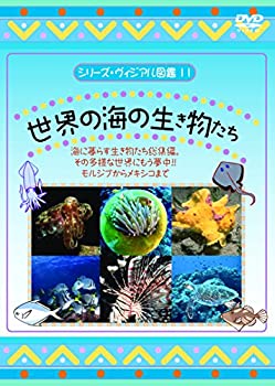 【5％OFF】 卸売 世界の海の生き物たち DVD carsonulc.org carsonulc.org