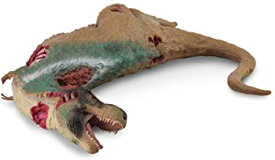 【中古】ティラノサウルス 死骸 88743